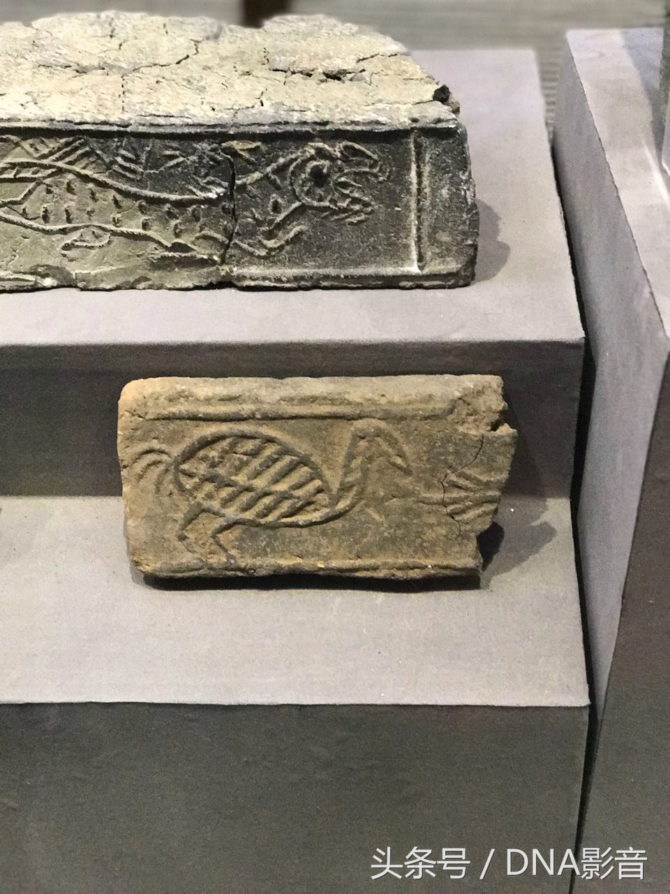 马王堆汉墓大连博物馆,大连汉代墓博物馆开放时间