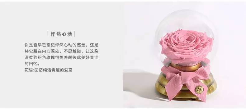 连曲筱绡这种富二代都用我们用得起的平价好物