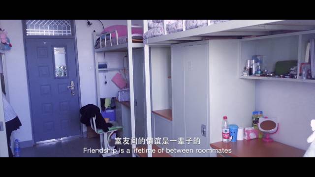 我的大学我的专业,我的大学专业