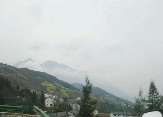 中华草龟和野生草龟的区别,草龟跟中华草龟有什么区别