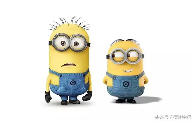 香味和护发并存的护发精油,混合型护发精油