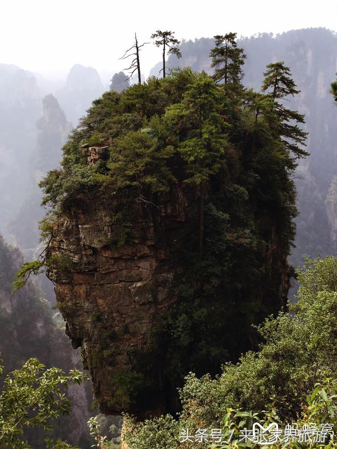张家界五日游多少钱一个人 (自己张家界六日游详细攻略)