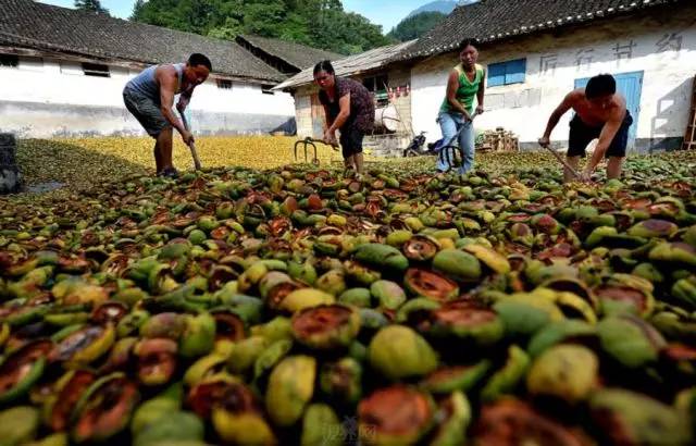 滨江今年还有几个新楼盘,滨江最近新开楼盘