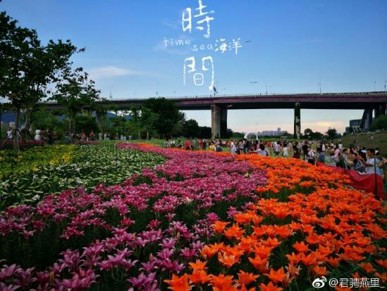 周末一日游详细攻略 (周末带你去旅行攻略)