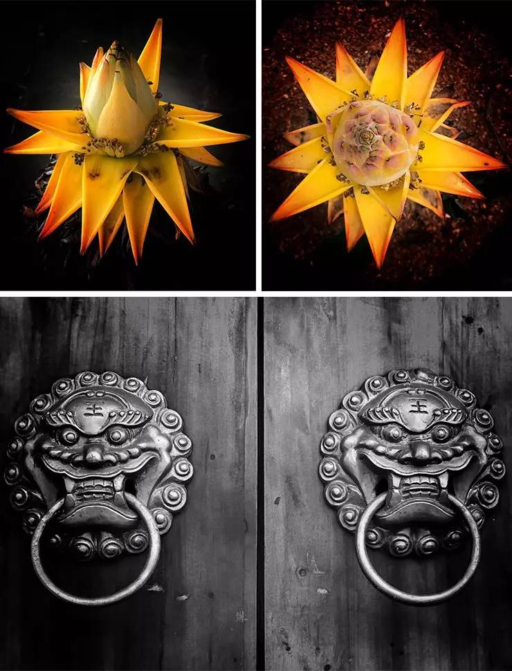 游茶山,游茶山竹海