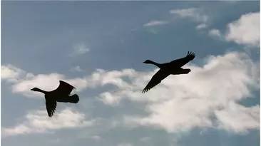 大学太远是一种什么体验,上大学离家远好吗