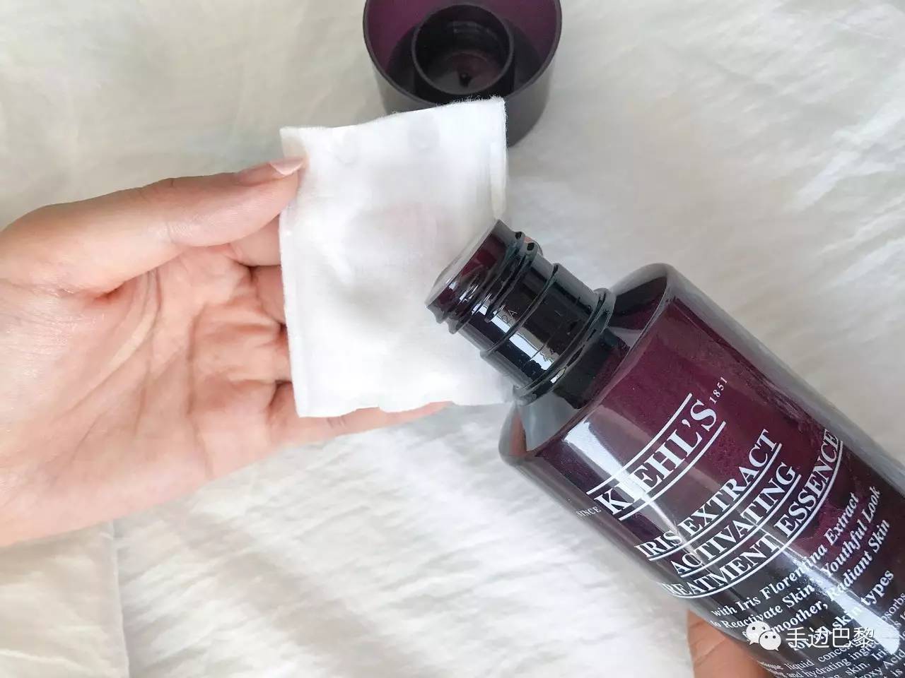 灵芝红茶红石榴,灵芝红茶蒲公英