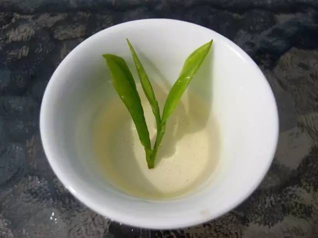 房山采摘节,2023年五峰采茶节