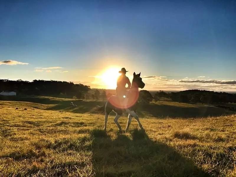 当一只“反季候鸟“,直飞到悉尼过冬天买UGG,是成都人今年暑假新玩法!
