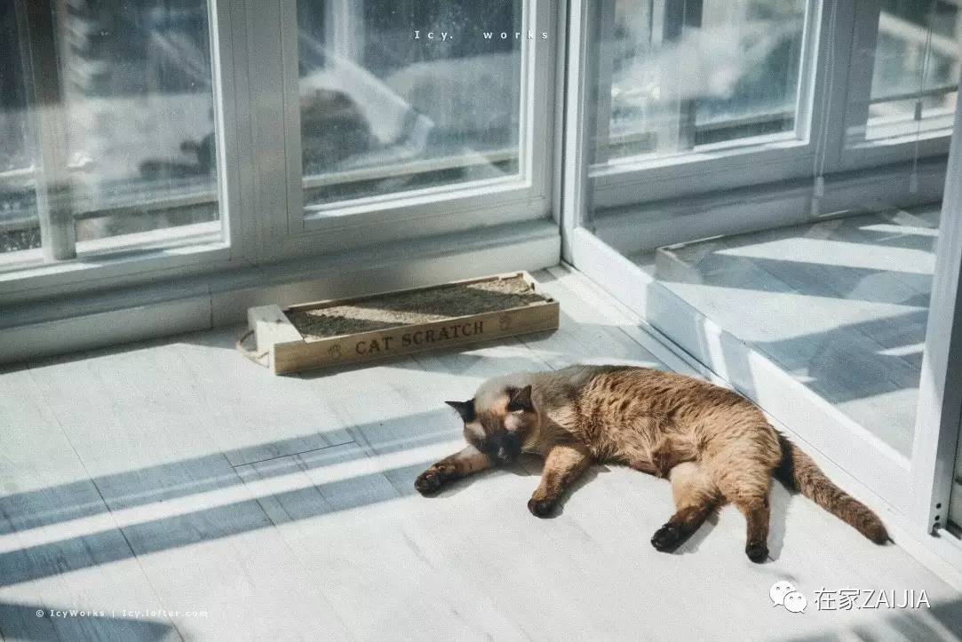 柔和舒适的房屋,小巧温馨舒适的房子