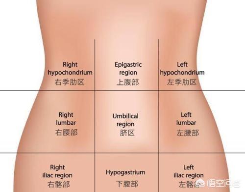 肚子疼做肠镜没问题怎么回事,肚子老是疼做肠镜正常哪里有问题