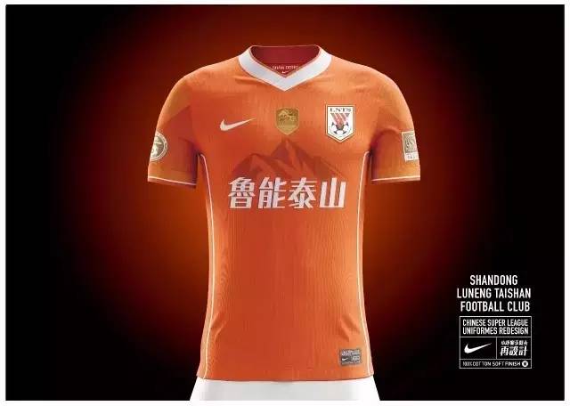 泰达天津足球俱乐部球衣,天津泰达2001球衣