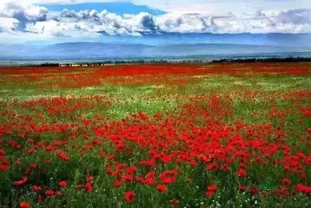 10个适合情侣的目的地，每一个都值得跟他好好走一走