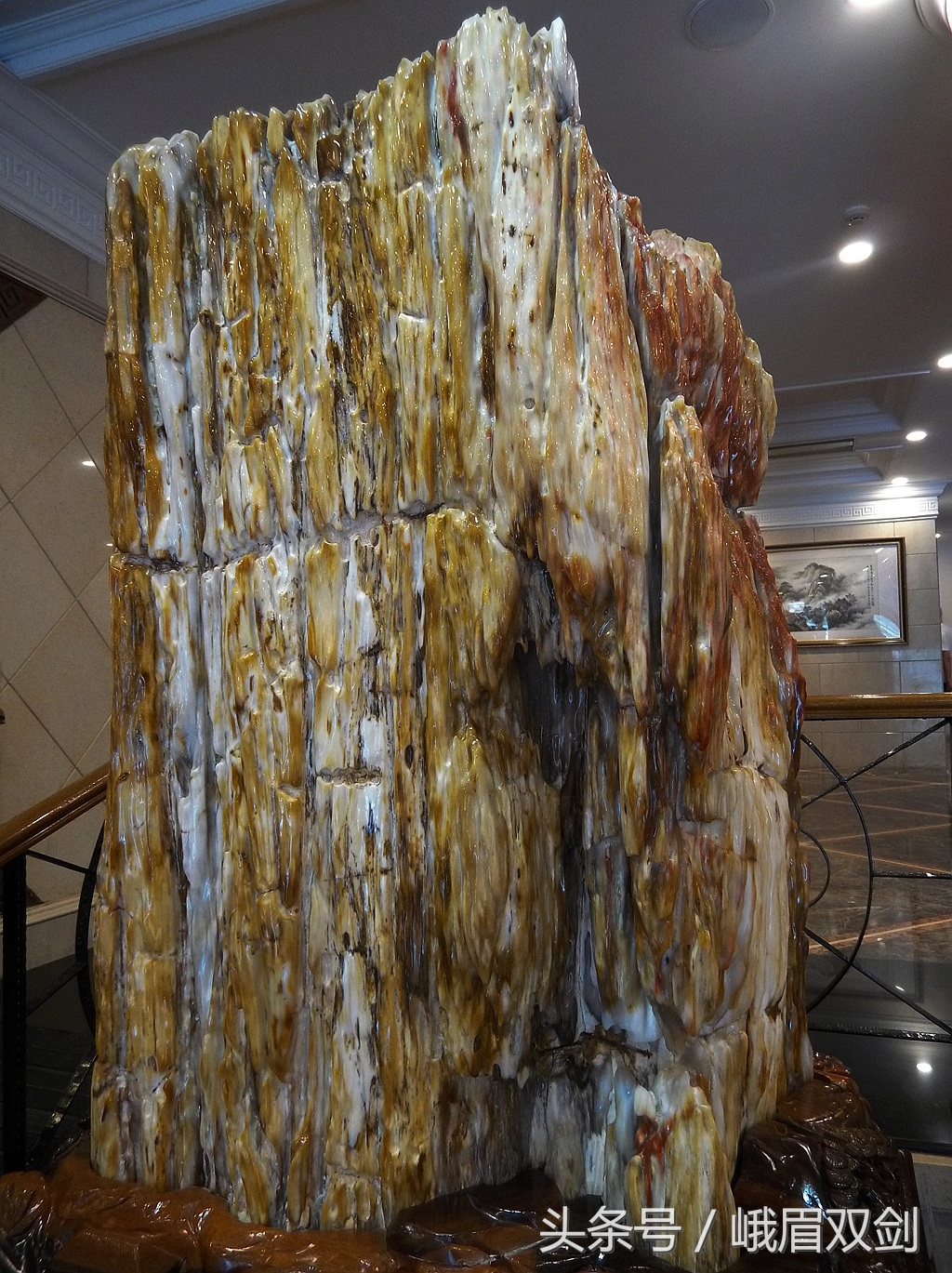 树化石收藏价值高吗,玉化树化石