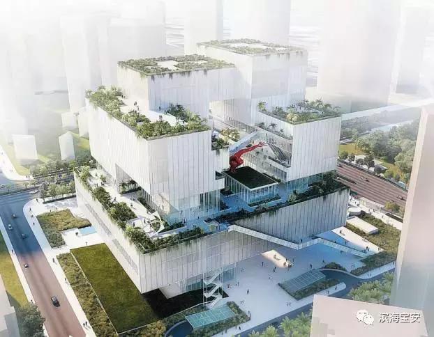 看了广州深圳之后感受,看深圳这几年后的感受