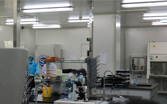 胎盘干细胞前景,胎盘干细胞移植目前成熟吗