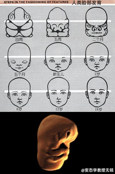 没有打火机怎么点烟的大神们,如何帅气的用打火机点烟