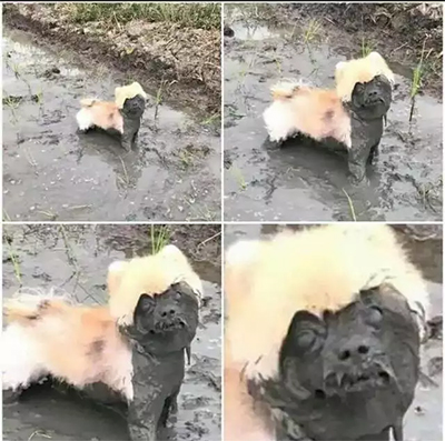 怎样偷偷亲女朋友,偷偷亲女生女生会生气吗