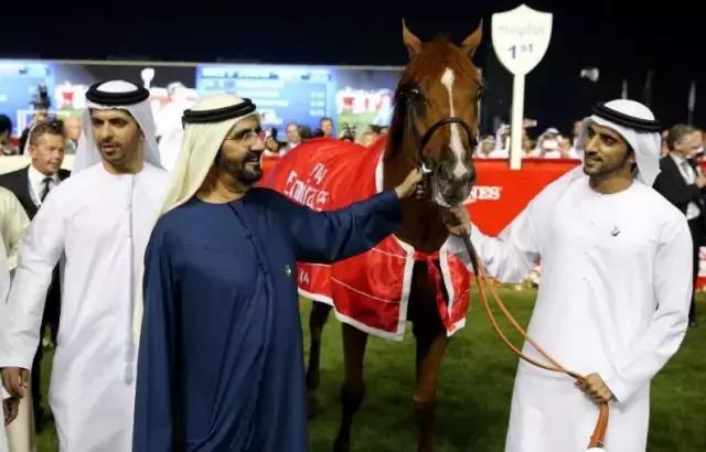 最帅迪拜王子哈曼丹,哈曼丹和威廉王子