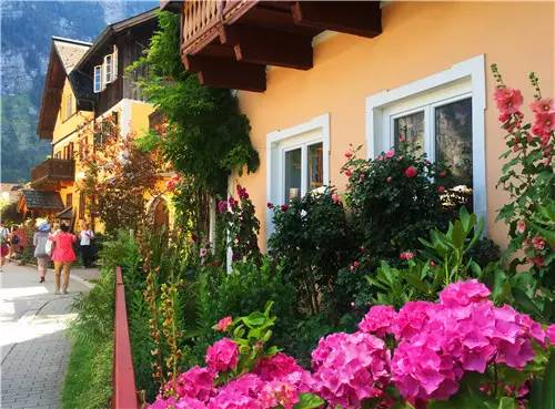 喜欢送花的男生什么性格,那些喜欢花的人