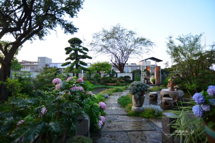 鎷滆涓滅鑽夊爞,鑺卞洯鎷滆