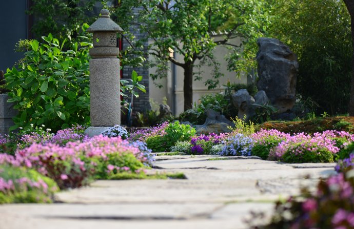 鎷滆涓滅鑽夊爞,鑺卞洯鎷滆