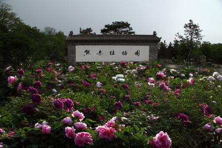 六七八九月游玩地之鲅鱼圈