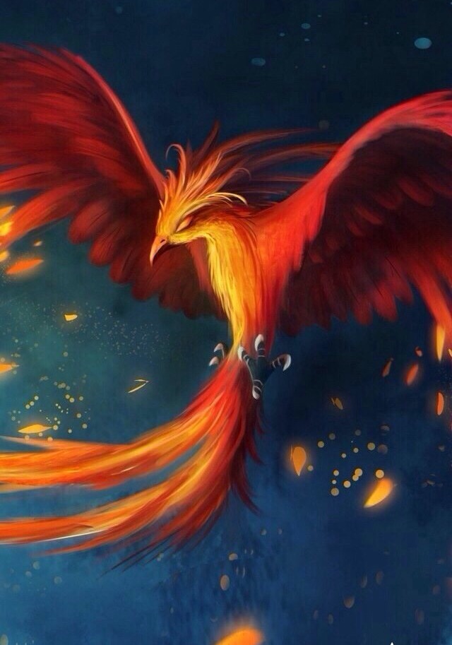 凤凰折翼下一句是浴火重生吗,折翼后浴火重生