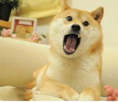 美白高科技测评,好用的黑科技美白产品