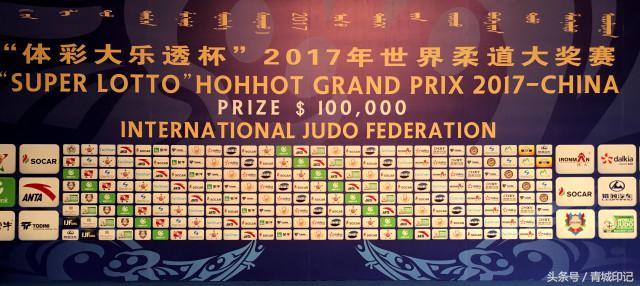 呼和浩特柔道大奖赛,全国柔道公开赛