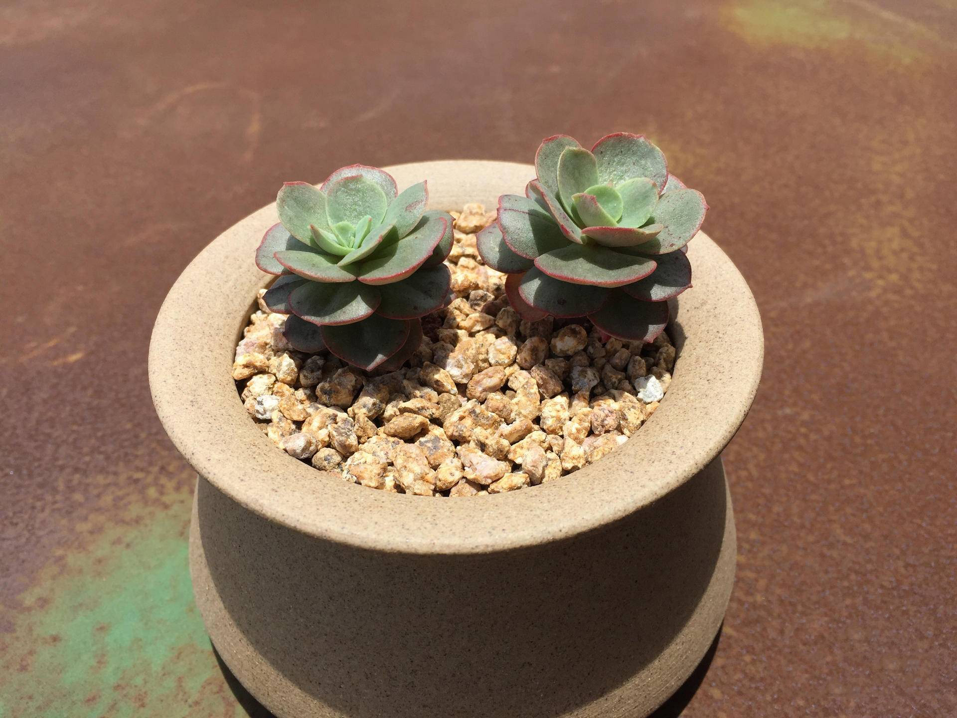 生锈的破铁门图片,生锈的铁门破了