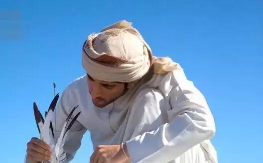 最帅迪拜王子哈曼丹,哈曼丹和威廉王子