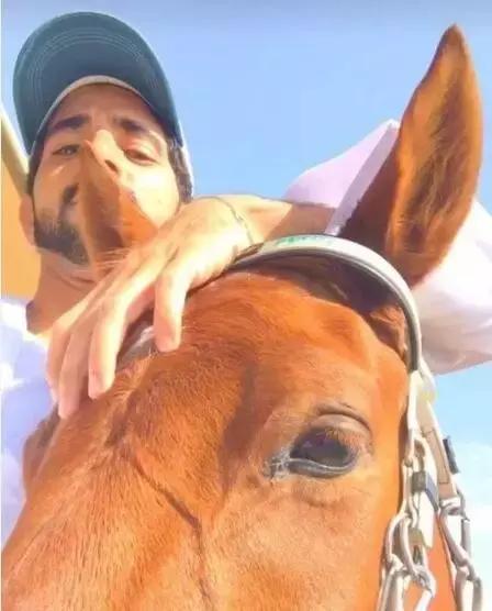 沙特最帅王子哈曼丹,阿联酋王子哈曼丹照片