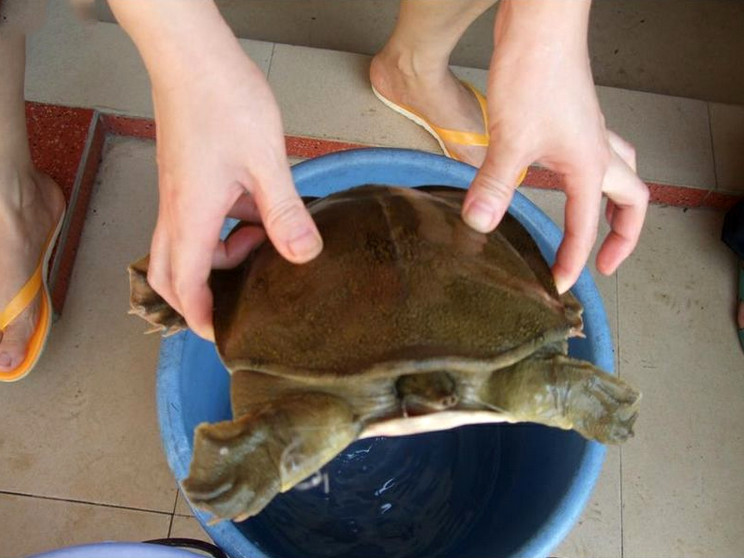 捕鱼技巧矿泉水瓶,爸爸捕鱼记