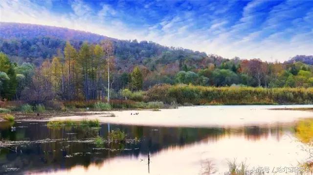 哈尔滨尚志要开挂了！如果三年后你还在尚志，将面对的竟是这些