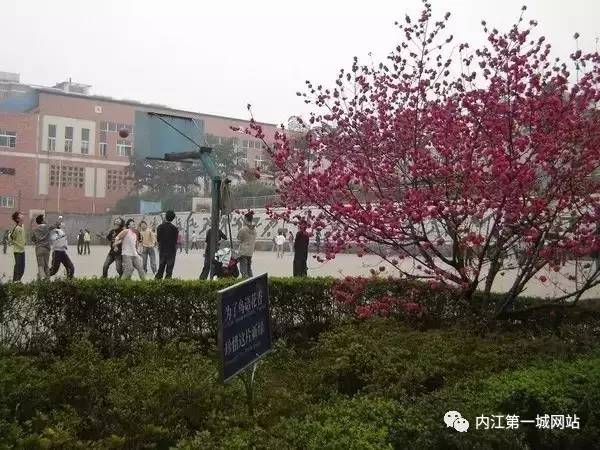 想穿校服,内江六中校服