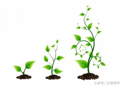 5天治好灰指甲,灰指甲三天可以把药拿掉吗