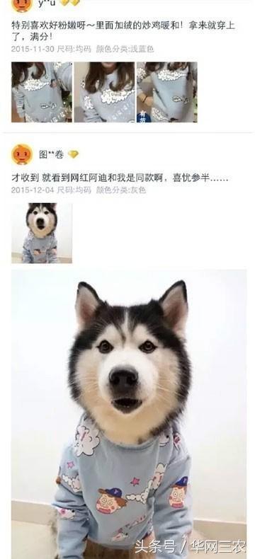 缅甸特产吃过3种算你牛？台州土特产出名啦看看有没有你老家的？网购的土特产都是家乡的味道？忻州特产？