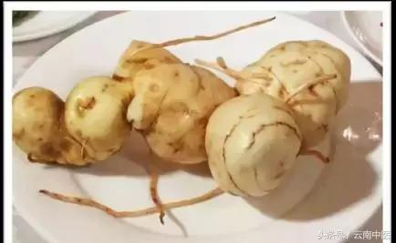 黄精对乌发有效果吗,怎样服用黄精效果最好