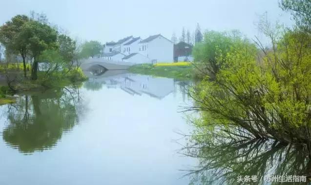 银黄埭，一片湖一个镇一方人！