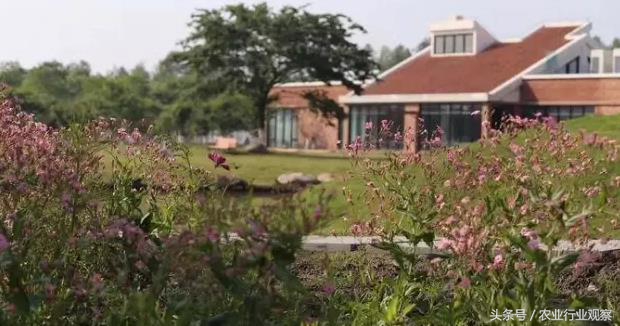 农场经营模式成功案例,农场经营模式和思路