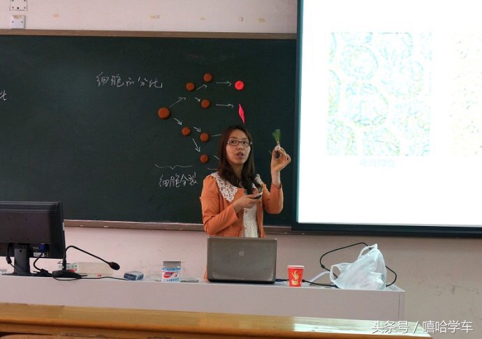 合肥各区较好的中学排名,合肥市较好的中学小学排名