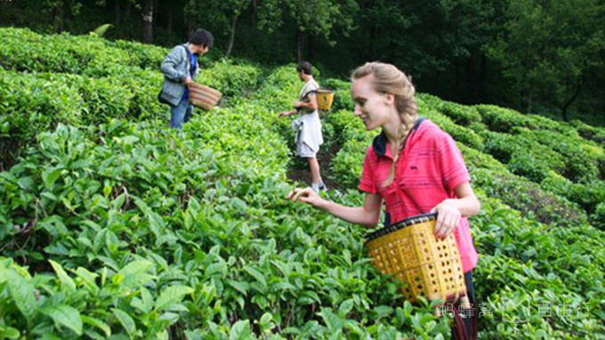 超详细！苍山的正确游玩方式——做一日清闲山里人