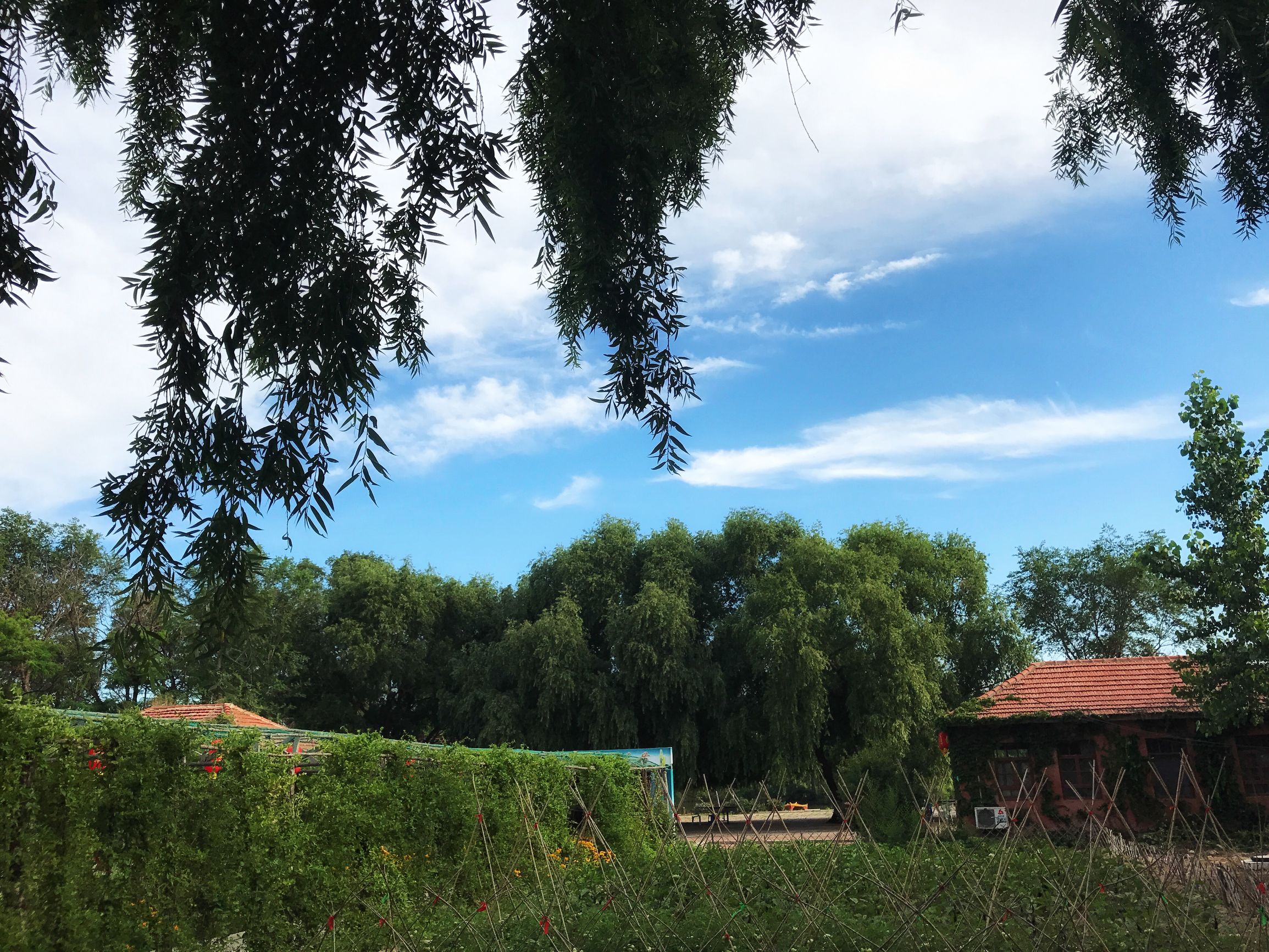 辽宁盘锦金宝度假村,盘锦欢喜岭度假村