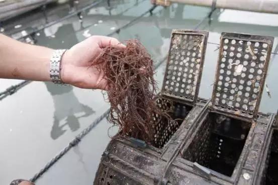 可溯金融的钱还能要回来吗,可溯金融会还钱吗