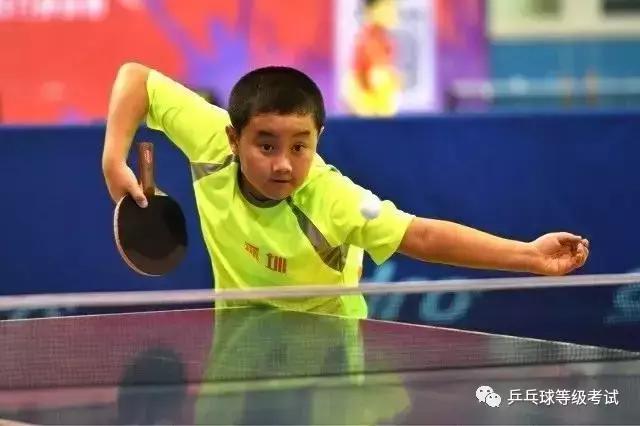 江门24名国球小将勇获乒乓球等级赛江门赛区“共信赢杯”奖项