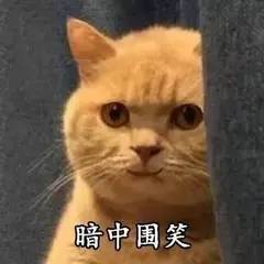 比起只用30块唇膏直播的伊能静,化妆我只服包文婧!