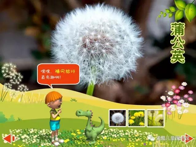 神奇的植物种子传播方法,我还知道哪些植物靠旅行传播种子