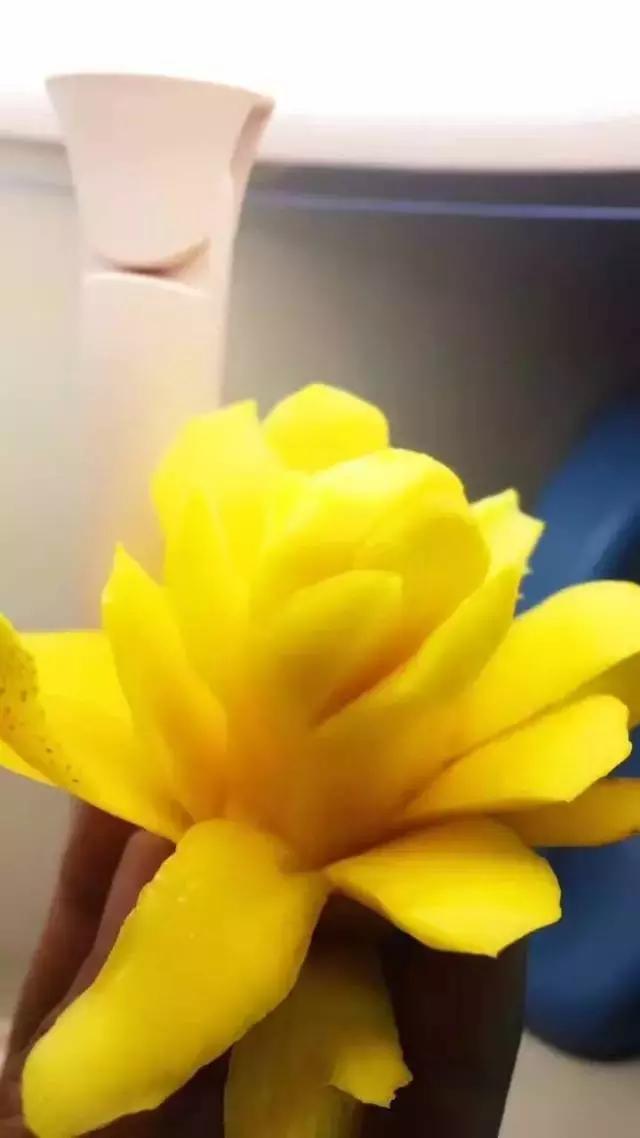 蔷薇水果店~“品控达人”的福音!