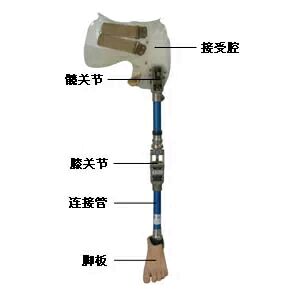 截肢后戴假肢老是疼怎么处理,截肢病人注意事项